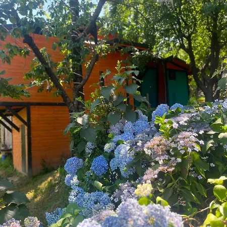 Blue Hobbit Fairy-tale House With A Magnificent View Sapanca